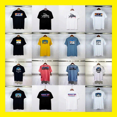 Patagonia Graphic T-Shirt