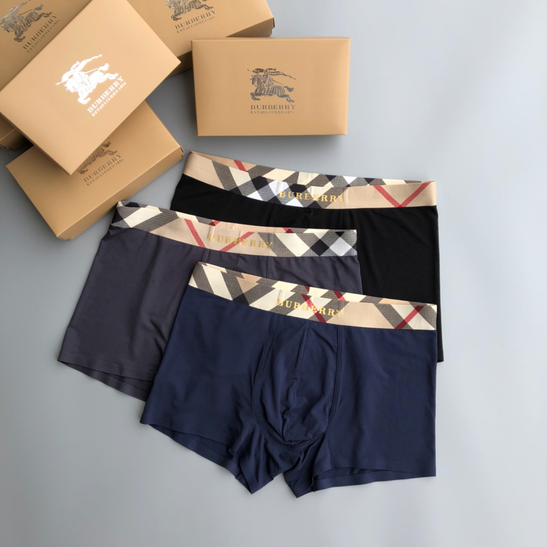 Burberry Boxer Briefs